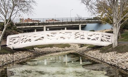 Prvi svjetski 3D printing most otvoren za saobraćaj u Holandiji: Može nositi ...